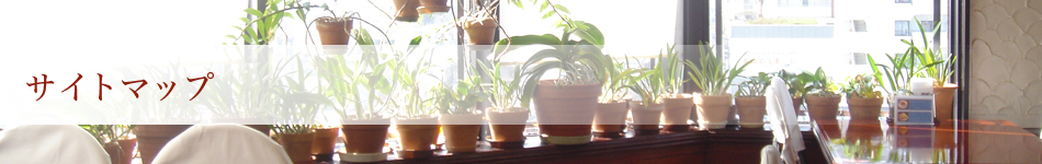 お店のご案内・アクセス